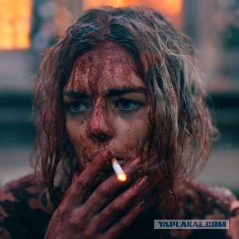 Фауна на Мальдивах в июле