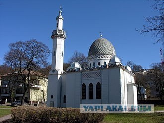 Испанцы из Сеуты восстали против нашествия мигрантов