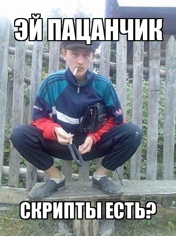 Скрипты на компьютере есть!?