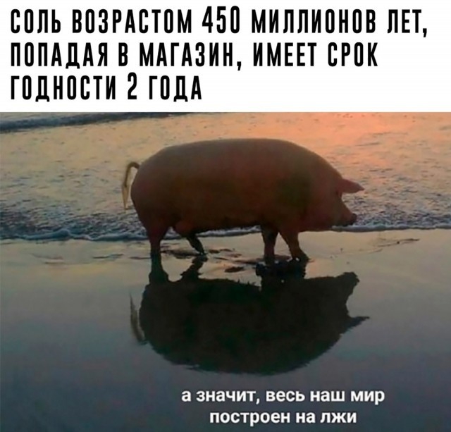 Картинки для деградации 278 (разной степени свежести)