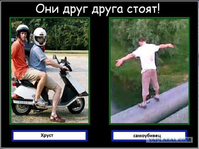 Они друг друга стоят!