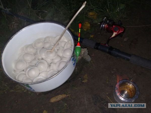Ужин на природе