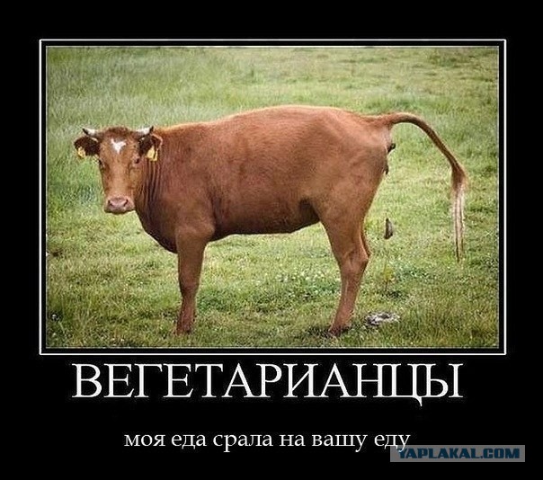 Жрите мясо!