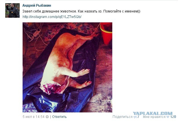 Задержан убийца ведущего Андрея Рыбакина