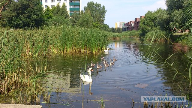 Кому юки отсыпать?