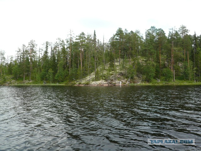 Две недели на Иовском водохранилище. Соколозеро.