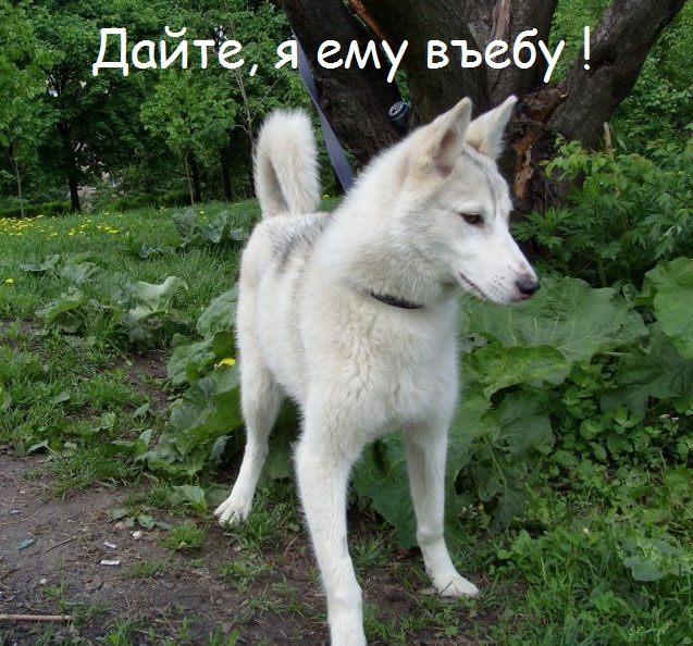 Внезапно испугался...