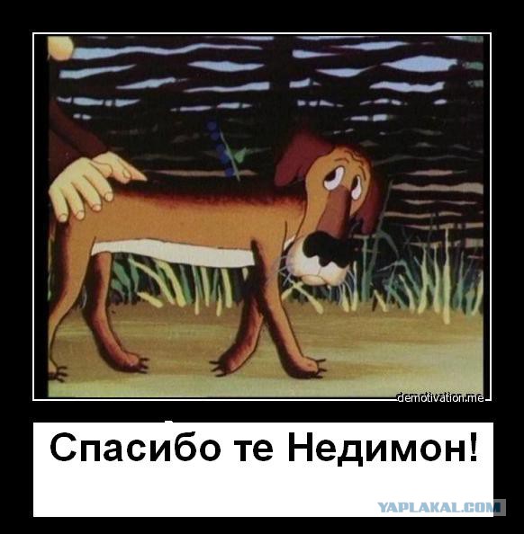 Страна, рожденная летать, ползать не должна!