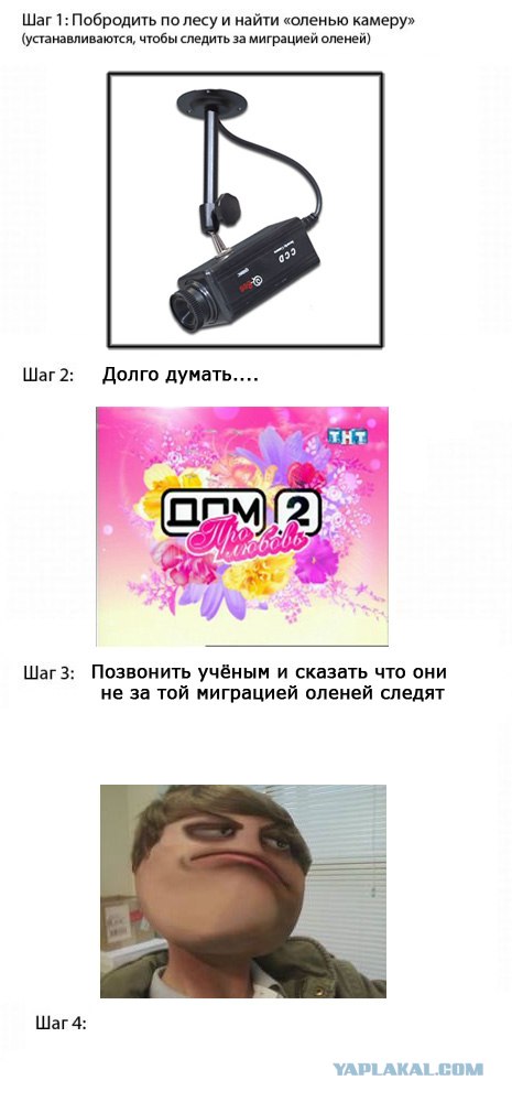Сенсация – рецепт от американского блоггера