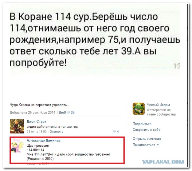 Картинки из интернетов