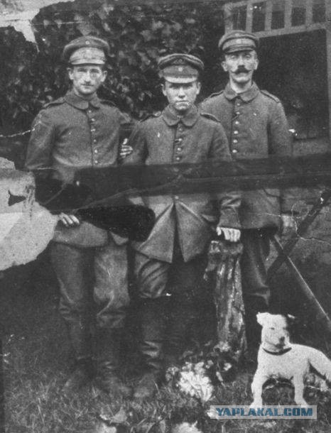 40 удивительных исторических фотографий