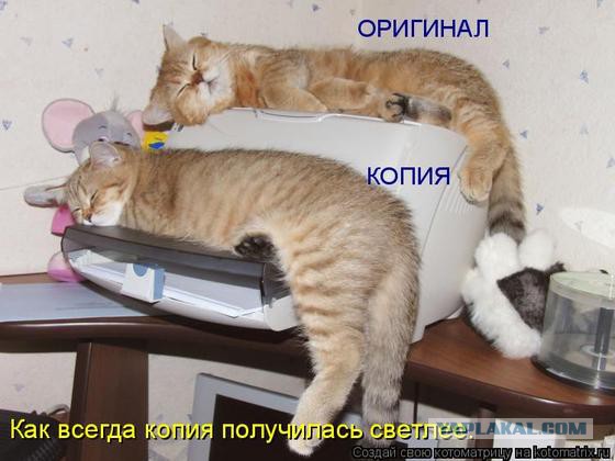 Объявление у ксерокса