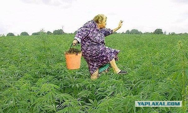 Вот это меня торкнуло