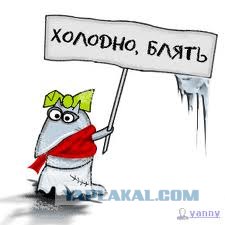 Скованная морозами