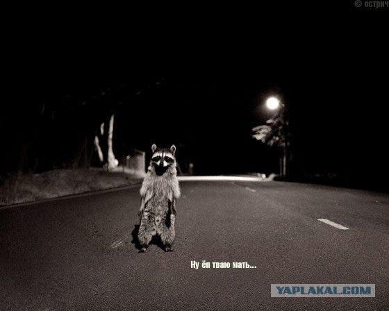 Вместе к Великой России=))