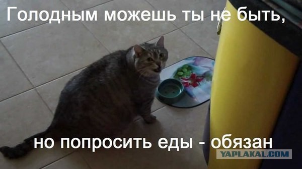 Где-то здесь был выход