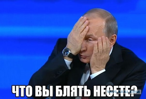 Прикольные картинки из сети