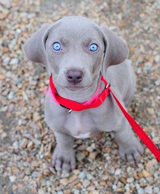 Всех с любимым четвергом! Бабаки-Барабаки!