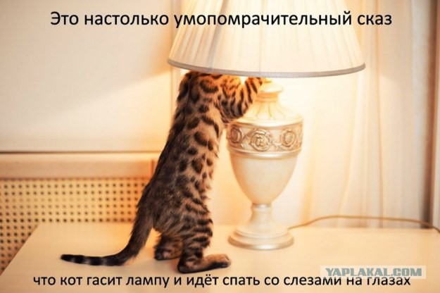 Умирая, коты уходят...