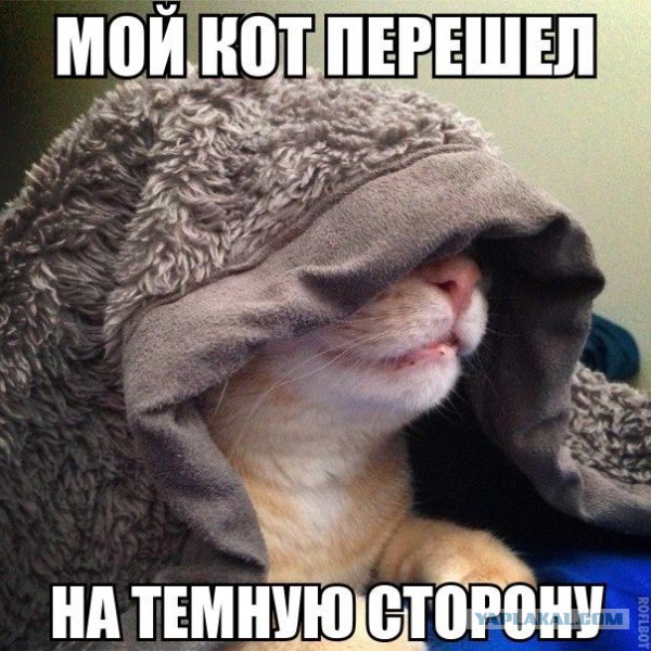 Картинки из инета