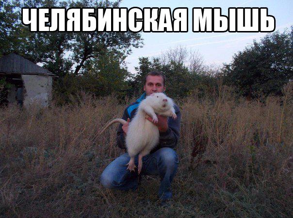 Картинки и приколы из соц.сетей и интернета