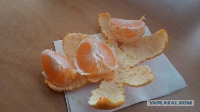 Посидим, потрещим