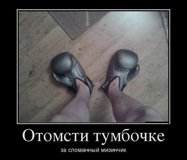 Приколы из сети