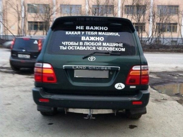 Прикольные картинки