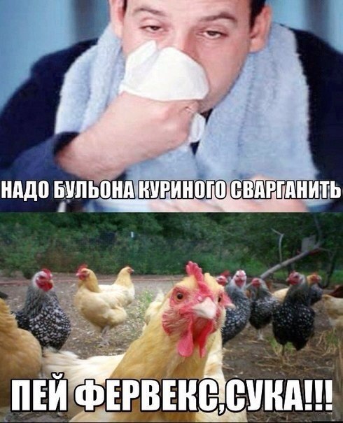 Забавные картинки из Сети