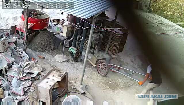 За что я люблю китайцев