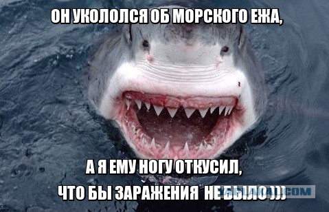 Свежая подборка картинок