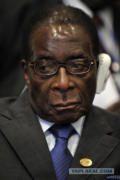 Тест на диктатора