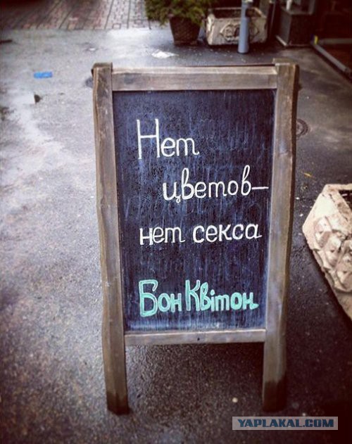 Картинки разные.