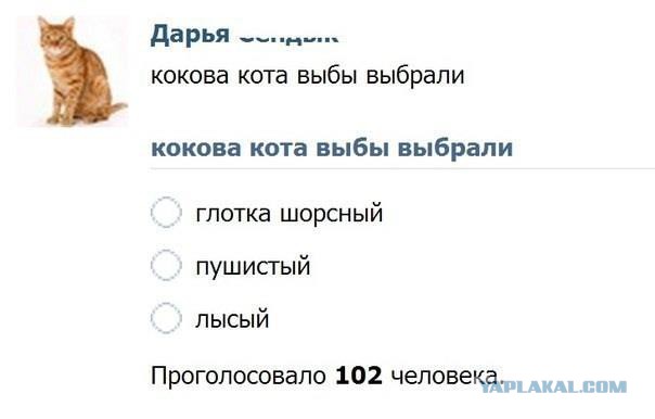 Грамотеи из интернетов умеют сочинять новые слова, даже не задумываясь
