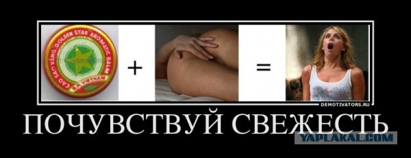 Интересные и веселые картинки