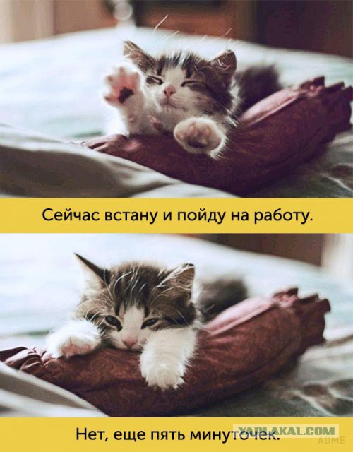 Картинки на пятницу