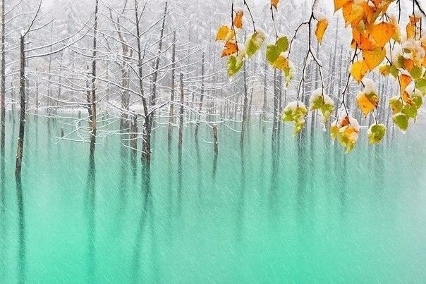 Разные фото. Прикольные и красивые