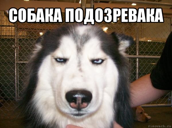 Глаза