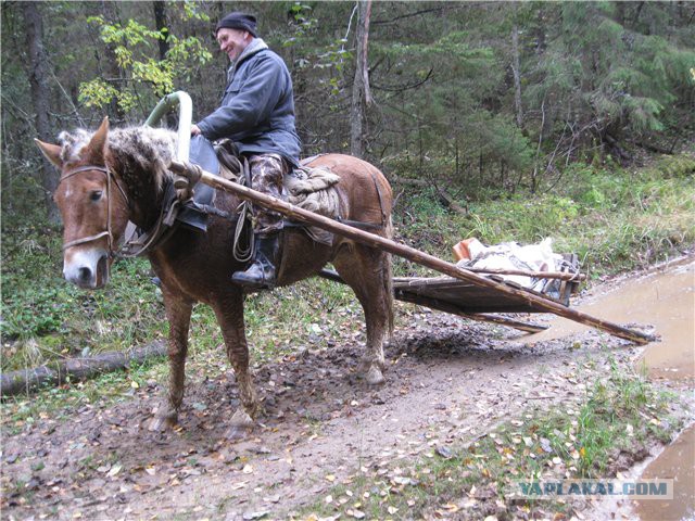 Оплавленные (?) храмы Петры