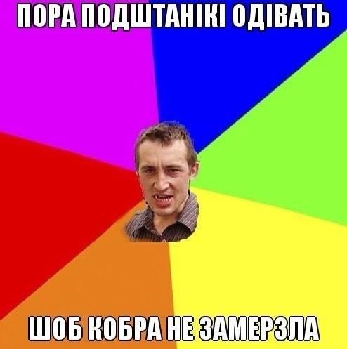 Веселые надписи и картинки