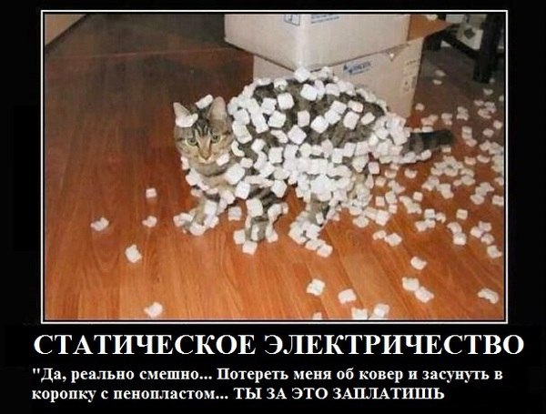 Весёлые картинки 30.11.2016