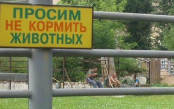 Подборка интересных и веселых картинок