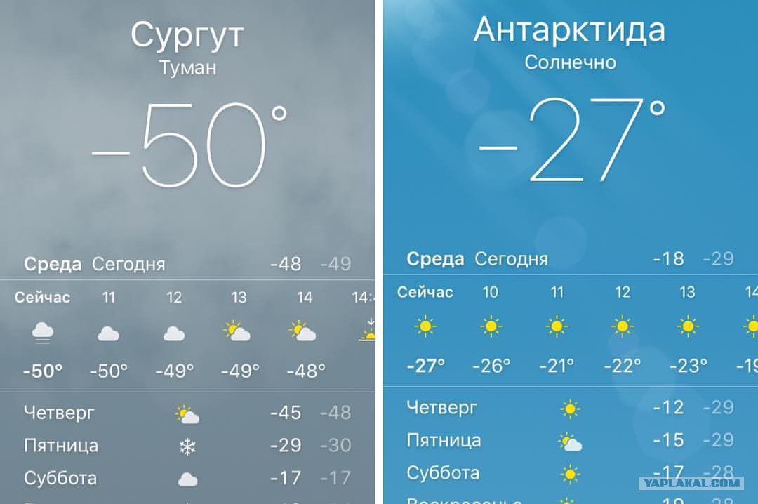 Сколько сейчас градусов температура. Сургут климат. Сургут -50 градусов. Максимальная температура в Сургуте зимой. Климат Сургута по месяцам.