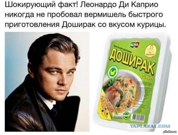 Бактерии, пожирающие пластик