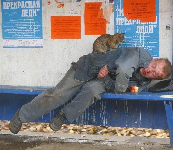 Адский трэш и вакханалия! Строго 16+