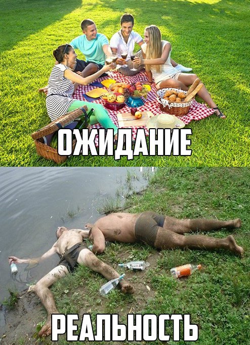 Подборка безудержного веселья