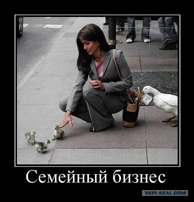 Баяны в чёрных рамках
