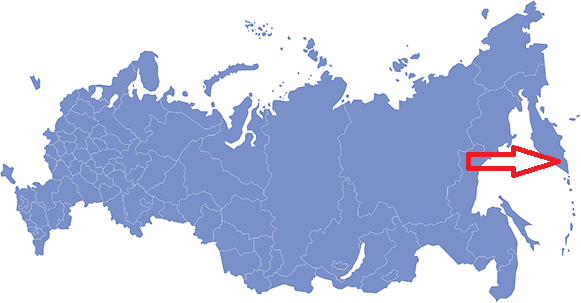 Инструкция. Как правильно есть камчатского краба