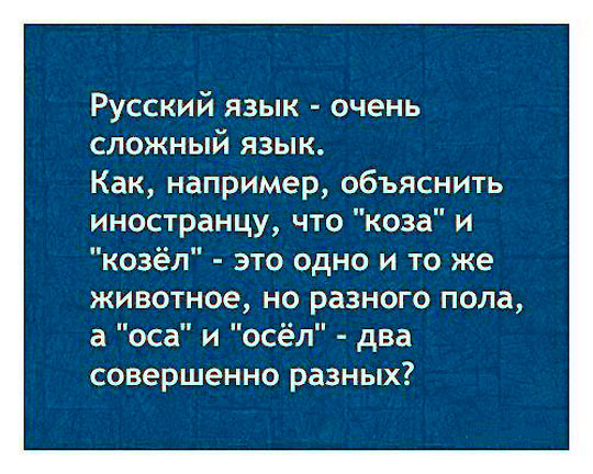 Не ссы, ссы!