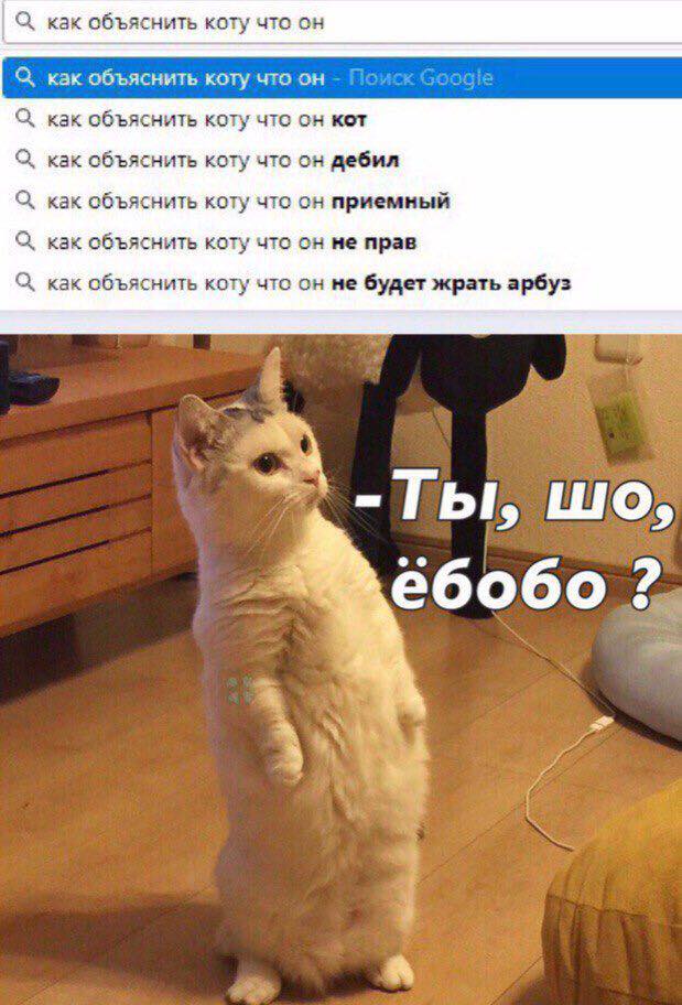 Приколы в стиле "регресс"